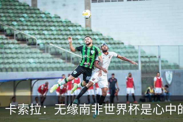 卡索拉：无缘南非世界杯是心中的刺